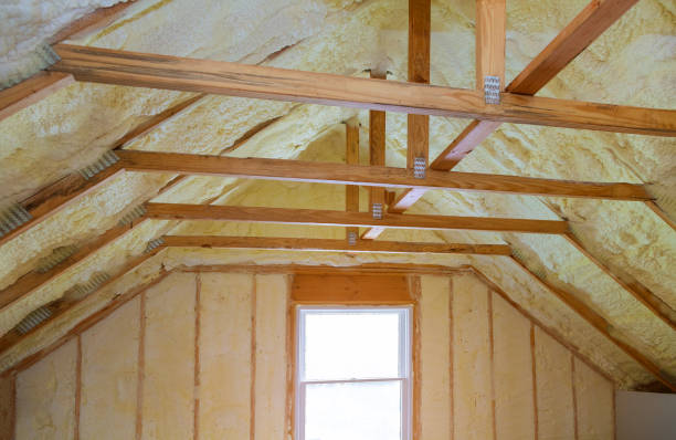 Best Insulation Installation Services in Granger, IN