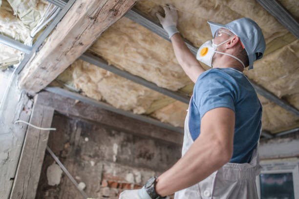 Best Types of Insulation in Granger, IN